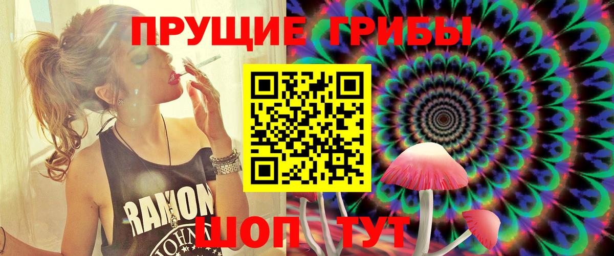 Галлюциногенные грибы Cubensis  где продают наркотики  Галлюциногенные грибы Magic Shrooms  Архангельск  Вход с VPN 